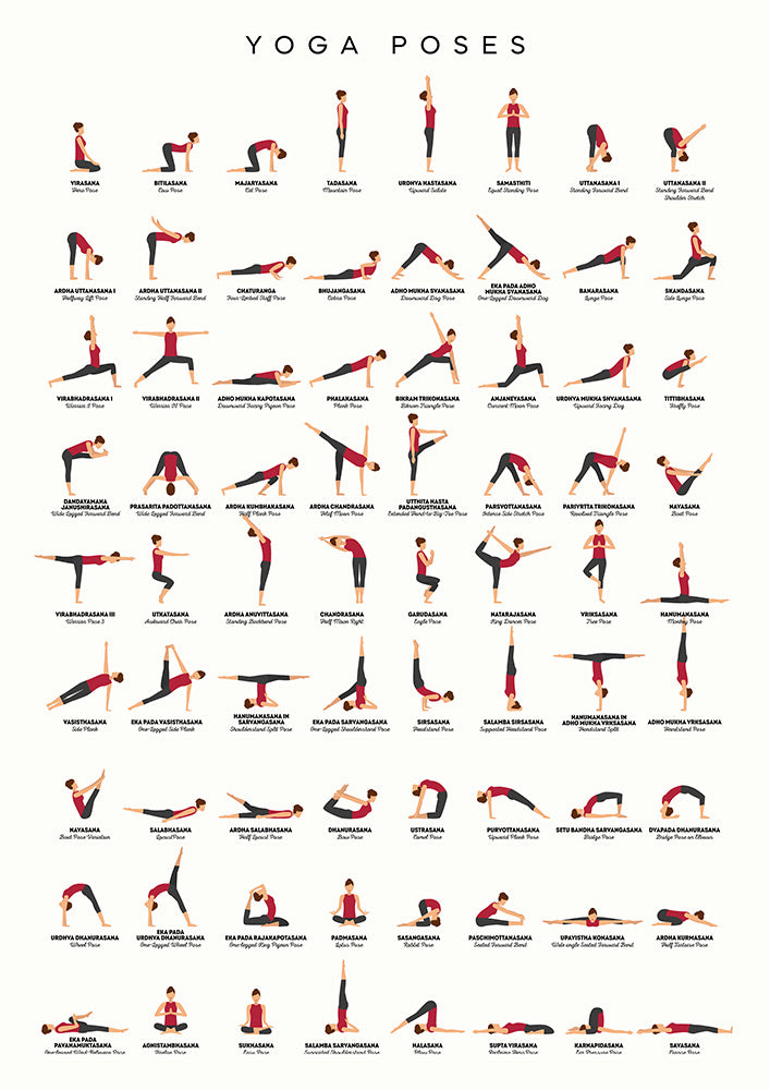 Amazon.com: Stickerbrand 100 Yoga Poses Asanas Poster. Instructional  Graphic Poster for Yoga Studio or Home. 36in X 30in Rugged 10mil PVC-Free,  Environmentally Friendly Print. #6109B-36x30: Posters & Prints